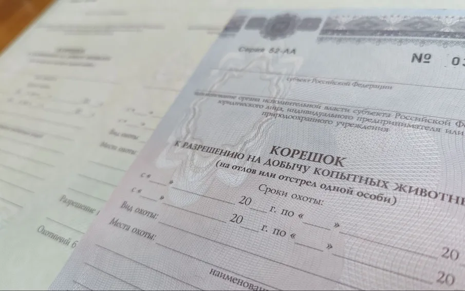 Минлесхоз начал прием заявлений на участие в жеребьевке для добычи копытных животных и бурого медведя